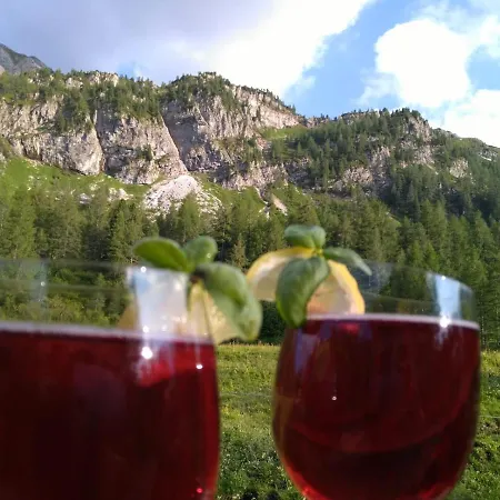 Neuhofalm Mit Sauna Und Hobbyraum Alpehytte Obertauern
