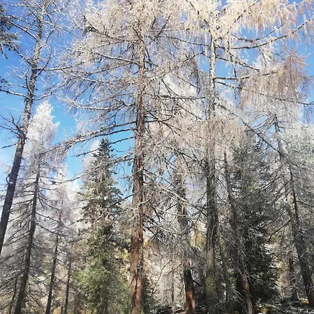 Neuhofalm Mit Sauna Und Hobbyraum * Obertauern